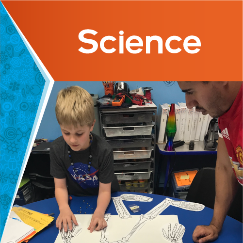 Beyond Science Activities: Stemtree Science Program