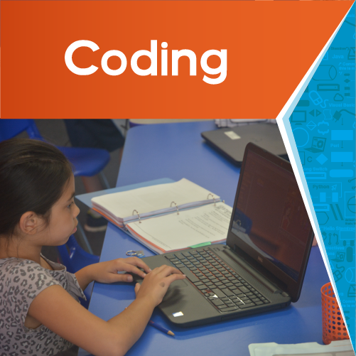 Stemtree Coding Program