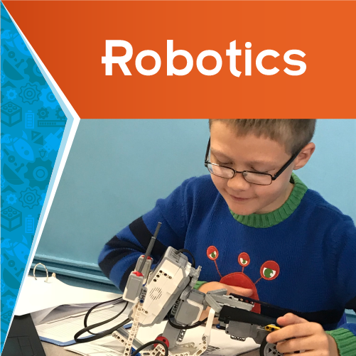 Stemtree Robotics Program